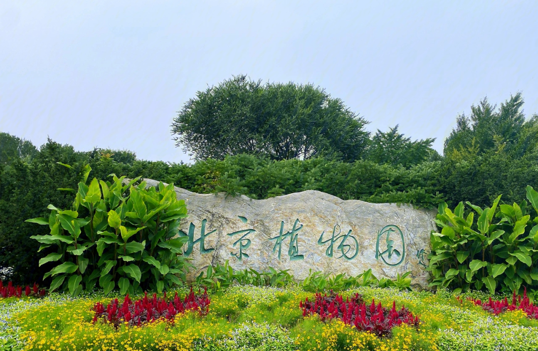 National Botanical Garden